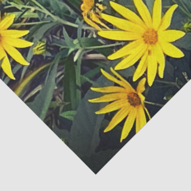 Jerusalem Artichoke Seidenpapier (Detail)