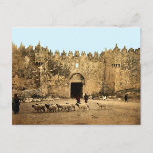 Jerusalem - Damaskus Gate Postkarte