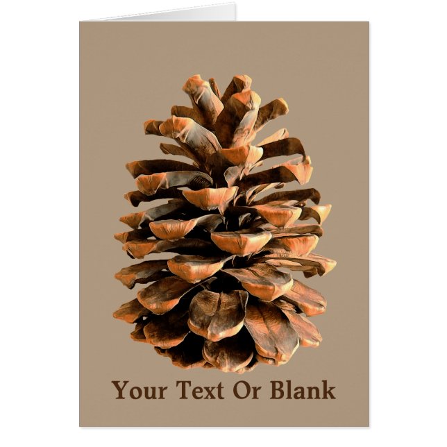 Jerusalem Pine Cone (Vorne)