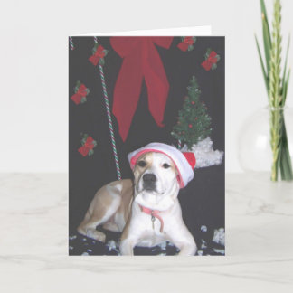 Jerzy-zweitweihnachten Feiertagskarte