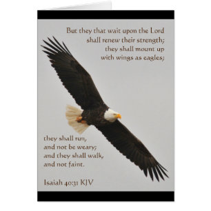 Jesaja 40:31 Aber sie, die auf den Herrn warten