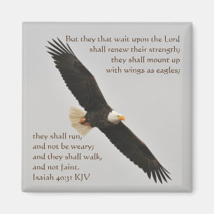 Jesaja 40:31 Aber sie, die auf den Herrn warten Magnet