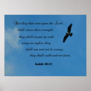 Jesaja 40:31 Aber sie, die auf den Herrn warten.. Poster