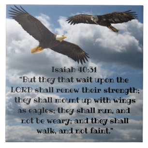 JESAJA-40:31 FLIESE