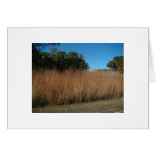 Jesaja-40:8, -gras u. -Blumen