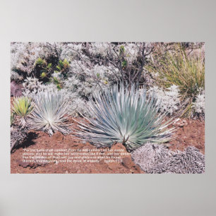 Jesaja 51 poster