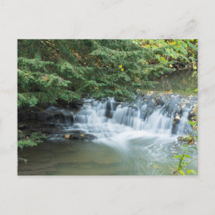 Jesmond Dene Postkarte