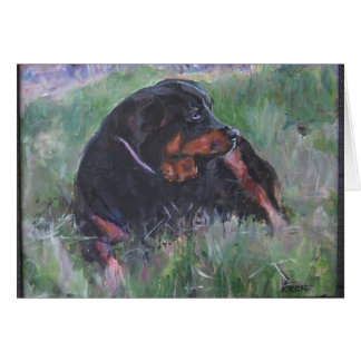 jessie Hund