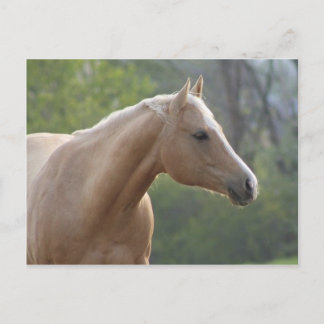 Jessie Rey Freckle Postkarte