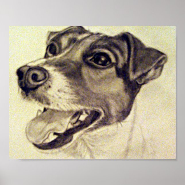Jester der Jack Russell Terrier Poster (Vorne)