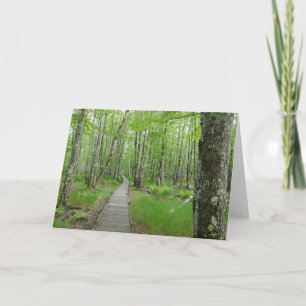 Jesup Path Boardwalk Trail Karte