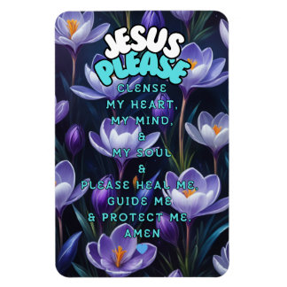Jesus bitte... magnet