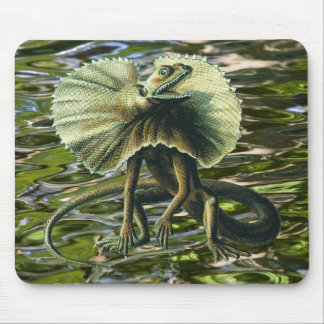 Jesus-Eidechse Mousepad