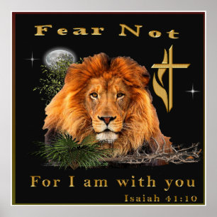 Jesus is King of Kings Poster