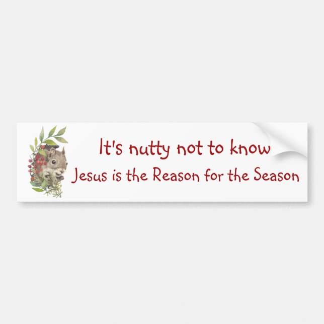 "Jesus is the reason for the season" Fun Squirrel  Autoaufkleber (Vorne)