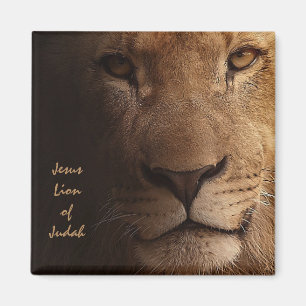 Jesus Lion of Judah Christliches Zitat Magnet