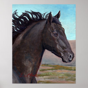 Jet : Band-Hengst des Sandwaschbeckens Poster