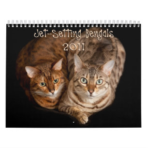 Jet, der Bengals einstellt Kalender