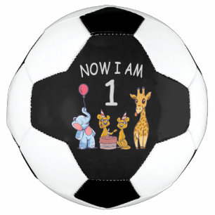 Jetzt bin ich 1 Jahr alt 1. Geburtstag im Zoo Fußball