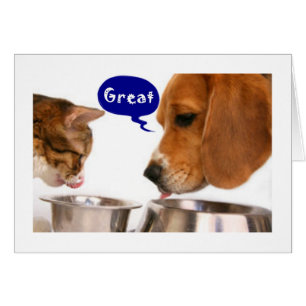 JETZT, DASS IHR "16" WERDEN SIE MIR IN DIE MALL FA