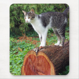 Jetzt hast du meine Aufmerksamkeit - Kitty-Mauspad Mousepad