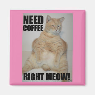 JETZT KATZE KAFFEE BRAUCHEN! Manx-Katze sitzt lust Magnet