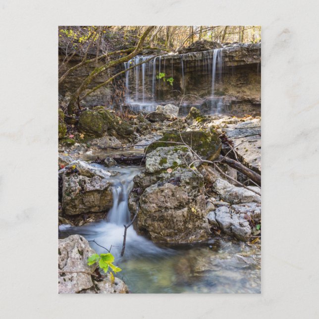 Jewel of Henning Conservation Blank Post Card Postkarte (Vorderseite)