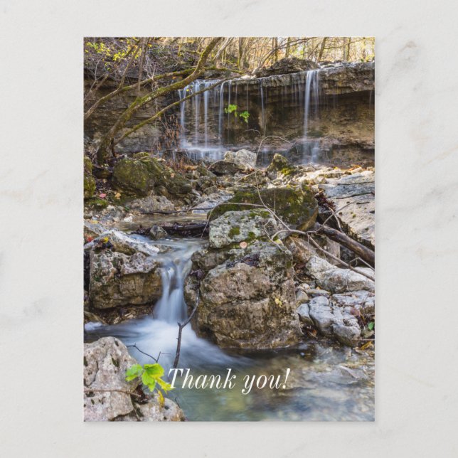 Jewel of Henning Conservation Danke Postcard Postkarte (Vorderseite)