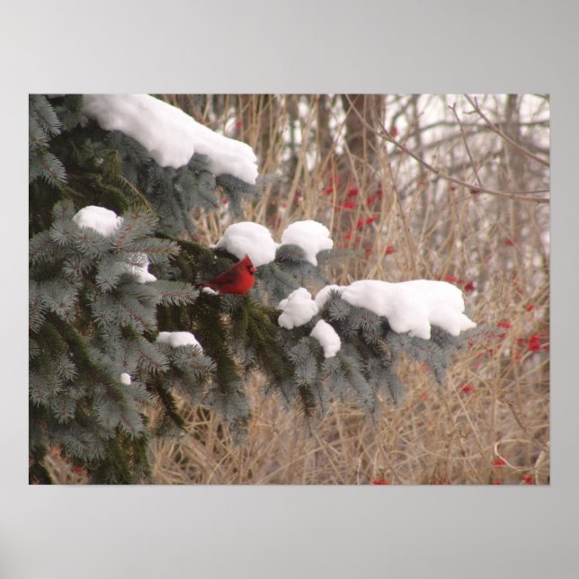 Jewel unter Trees Poster (Vorne)