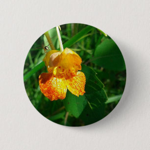 Jewel Weed, Wildblume Button