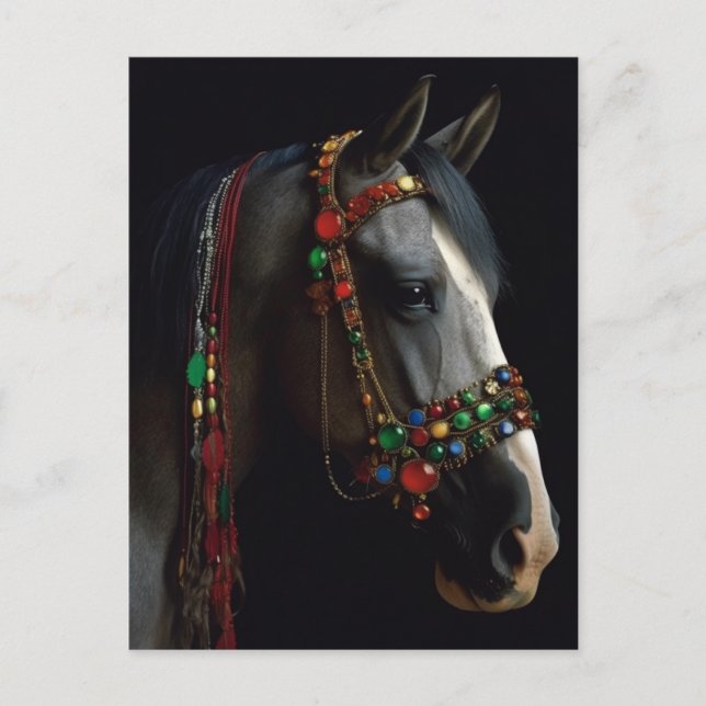 Jewelator Halter Horse Postkarte (Vorderseite)