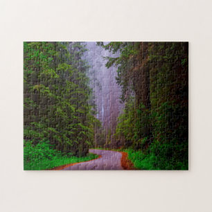 Jigsaw Nationalpark Redwood. Puzzle