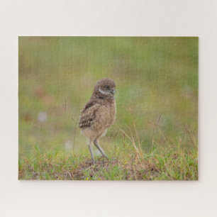 Jigsaw Puzzle