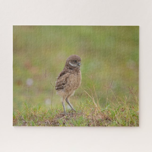 Jigsaw Puzzle (Horizontal)