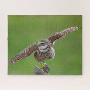 Jigsaw Puzzle