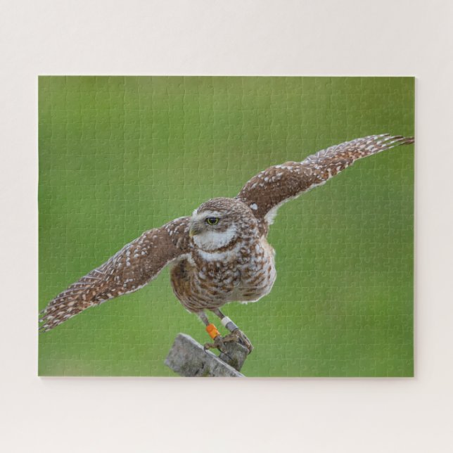 Jigsaw Puzzle (Horizontal)