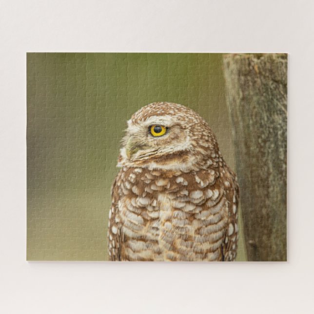 Jigsaw Puzzle (Horizontal)