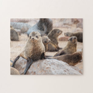 Jigsaw Puzzle eines Siegels, der auf einem Felsen 