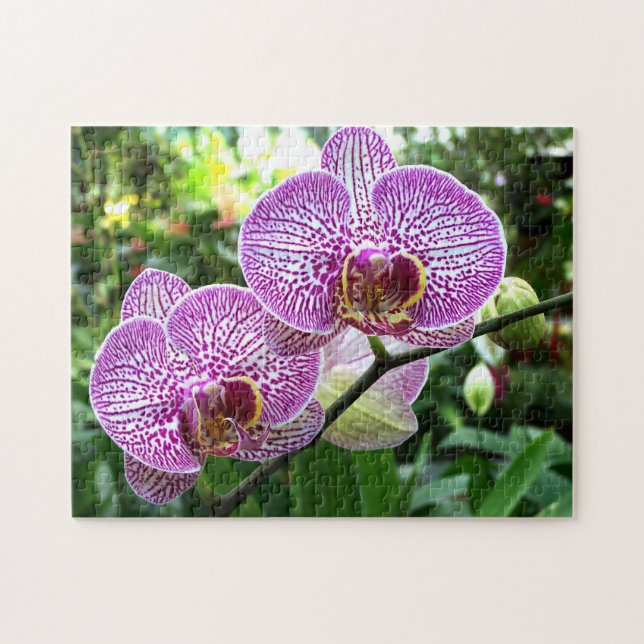 Jigsaw Puzzle Lila Freckled Orchids (Horizontal)