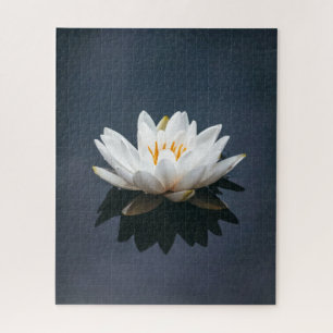 JIGSAW PUZZLE: LOTUS AUF WASSER PUZZLE