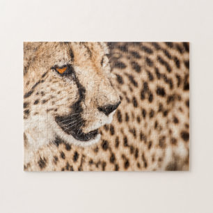 Jigsaw puzzle Portrait of a Cheetah