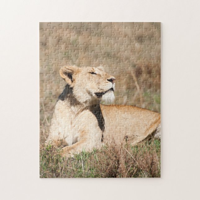 Jigsaw puzzle Portrait of a Lioness (Vertikal)