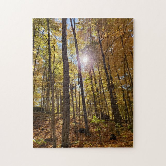 Jigsaw Puzzle - Sonnenschein durch Herbstwälder (Vertikal)