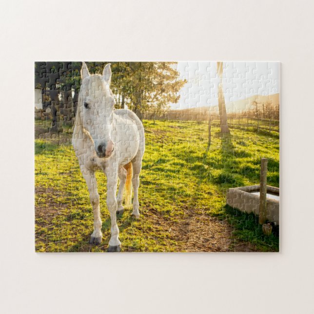Jigsaw Puzzle von White Arabian (Horizontal)