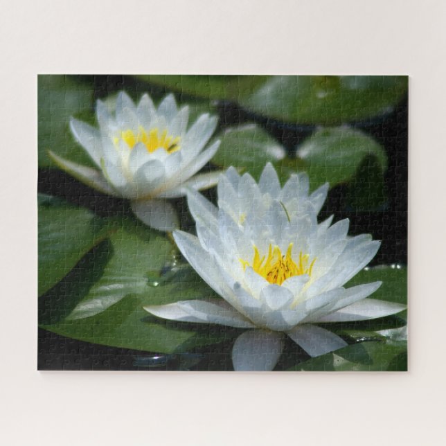 Jigsaw Puzzle Wasserlilie (Horizontal)