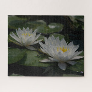 Jigsaw Puzzle Wasserlilie