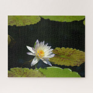 Jigsaw Puzzle, Wasserlilie Puzzle
