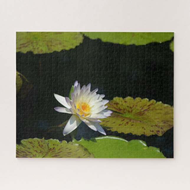 Jigsaw Puzzle, Wasserlilie Puzzle (Horizontal)