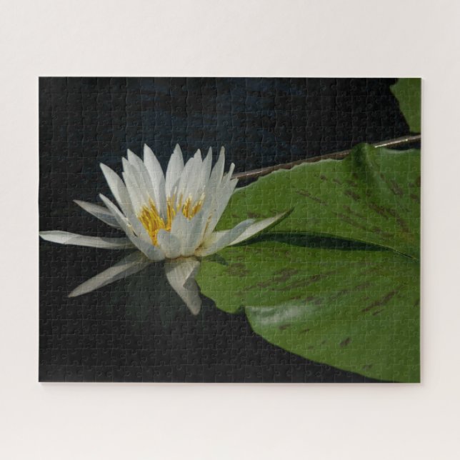 Jigsaw Puzzle, Wasserlilie Puzzle (Horizontal)