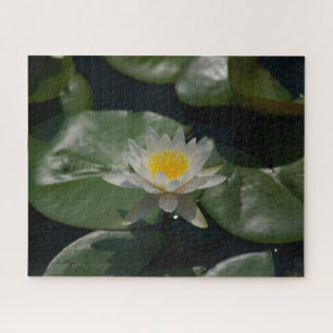 Jigsaw Puzzle, Wasserlilie Puzzle